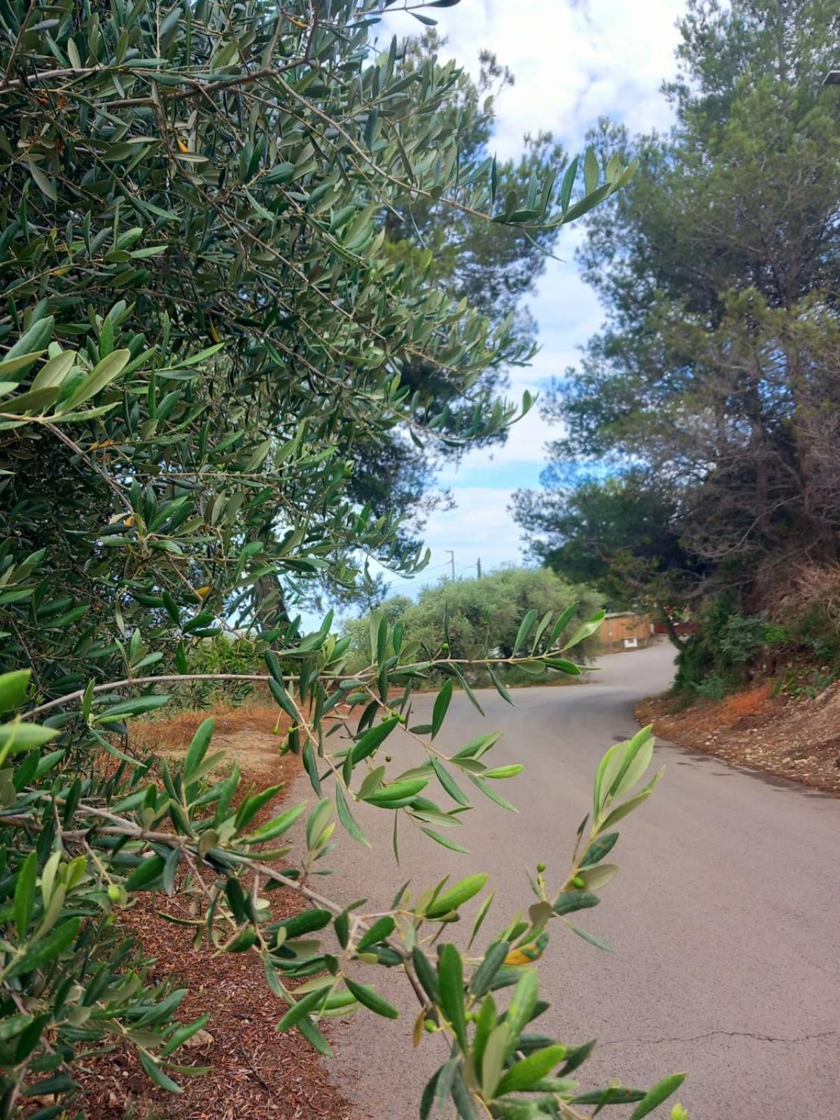 Dolci Risvegli Appartamento Vista Mare Ventimiglia Esterno foto