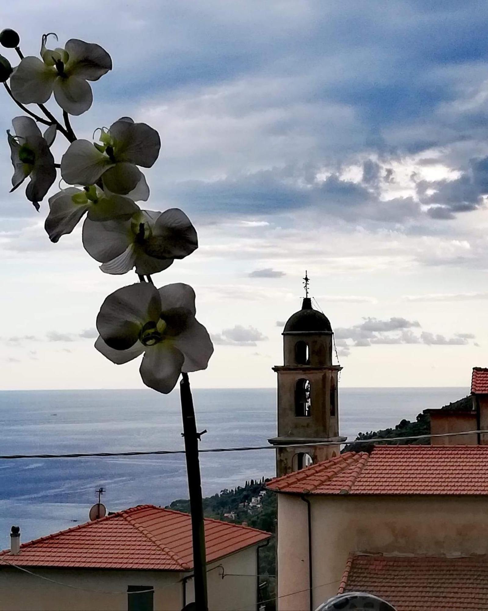 Dolci Risvegli Appartamento Vista Mare Ventimiglia Esterno foto