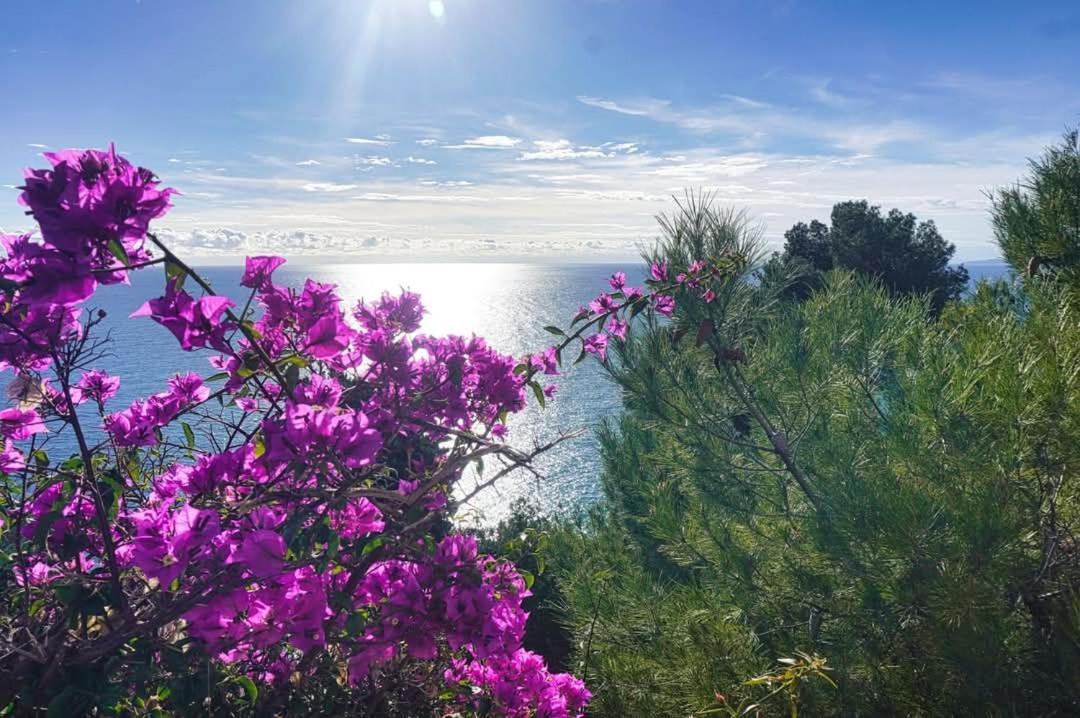 Dolci Risvegli Appartamento Vista Mare Ventimiglia Esterno foto