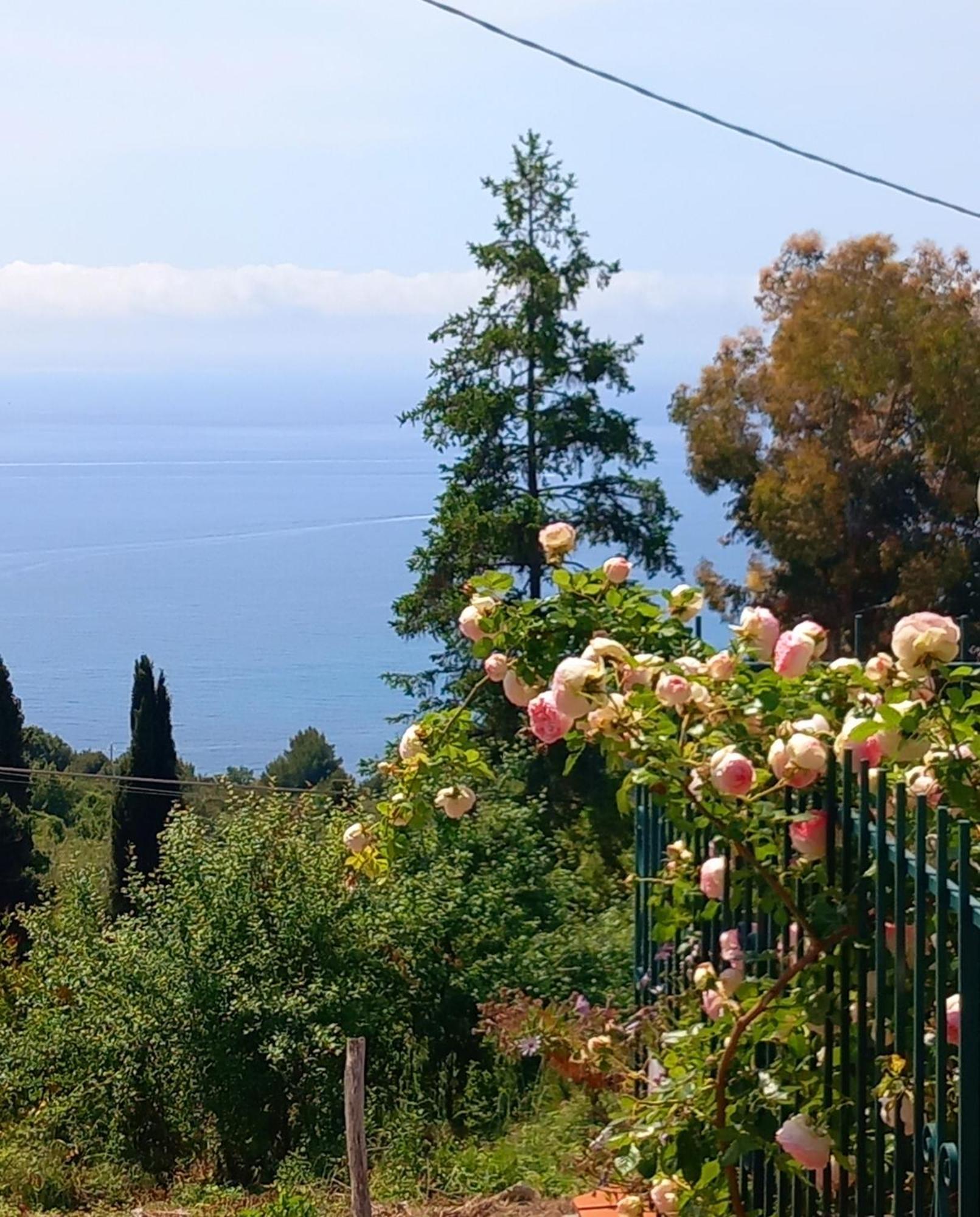 Dolci Risvegli Appartamento Vista Mare Ventimiglia Esterno foto